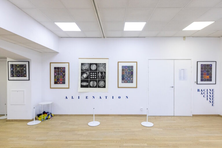 expo_fernando_limagerie3