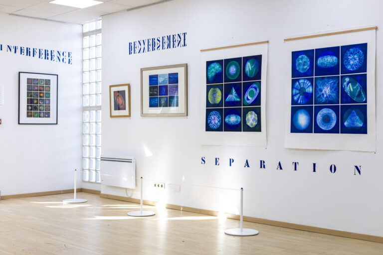 expo_fernando_limagerie4