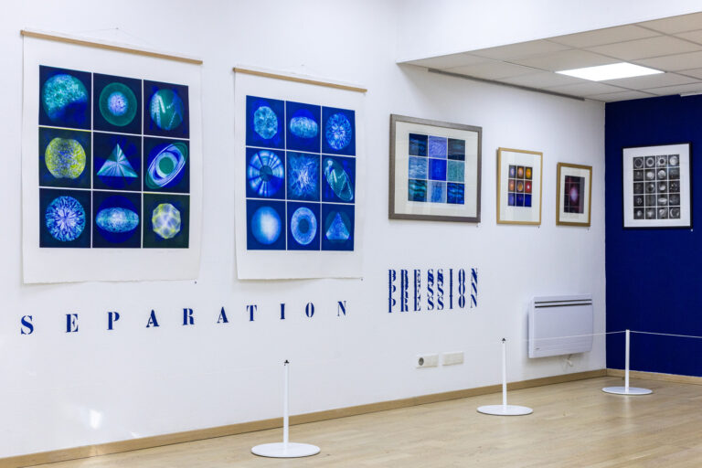 expo_fernando_limagerie5